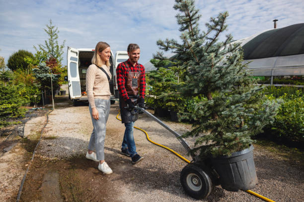 Best Dead Tree Removal  in Benjamin, UT